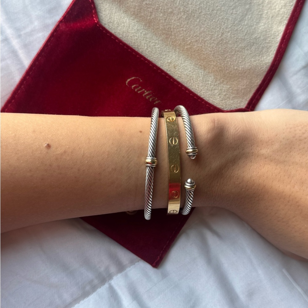 Cartier love bracelet